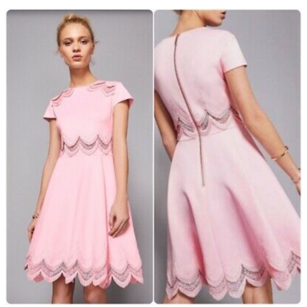Ted Baker Pink Embroidered Skater Dress- WORN 1x!